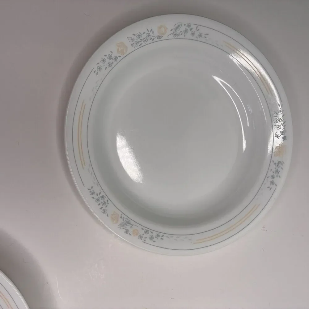 Corelle Apricot Grove Set of 4 Flat Rimmed Shallow Soup Salad Pasta Bowls 8.5